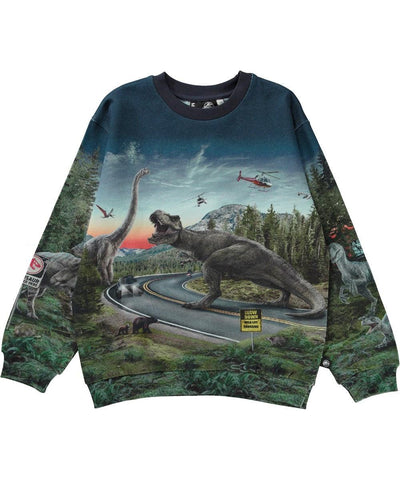 Organic Cotton Miksi Sweatshirt | Dinosaur Print | Molo x Jurassic World - The Ridge Kids