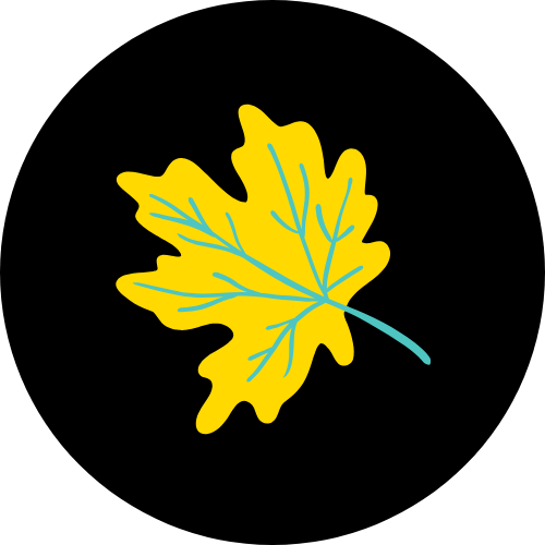 New Fall Arrivals for Kids & Tweens | The Ridge Kids