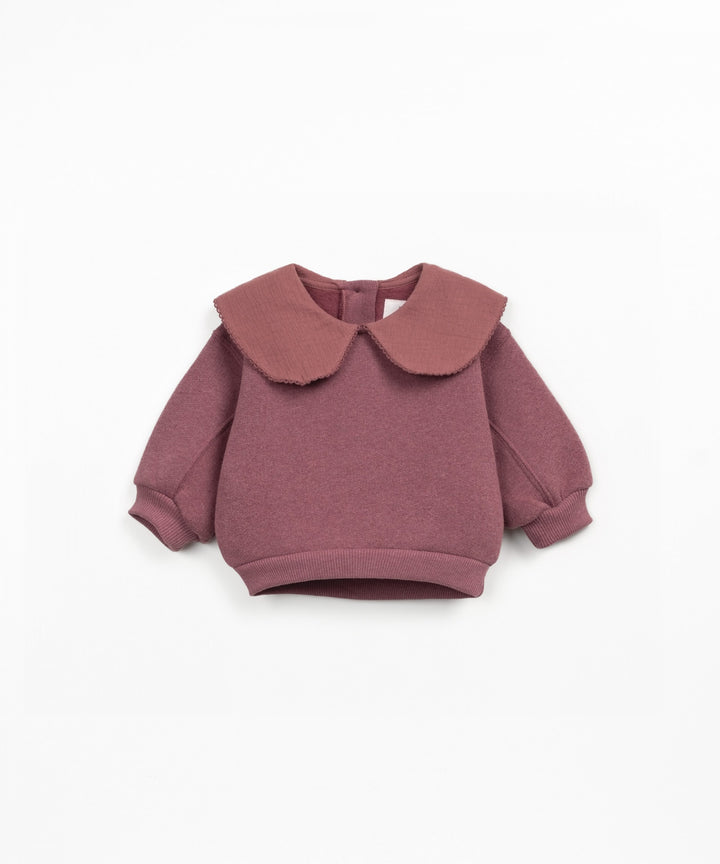 Burgundy sweater with a collar on a white background