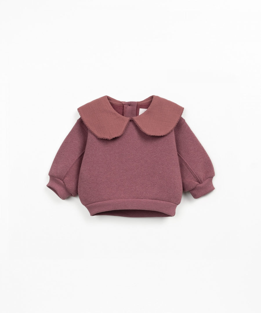 Burgundy sweater with a collar on a white background