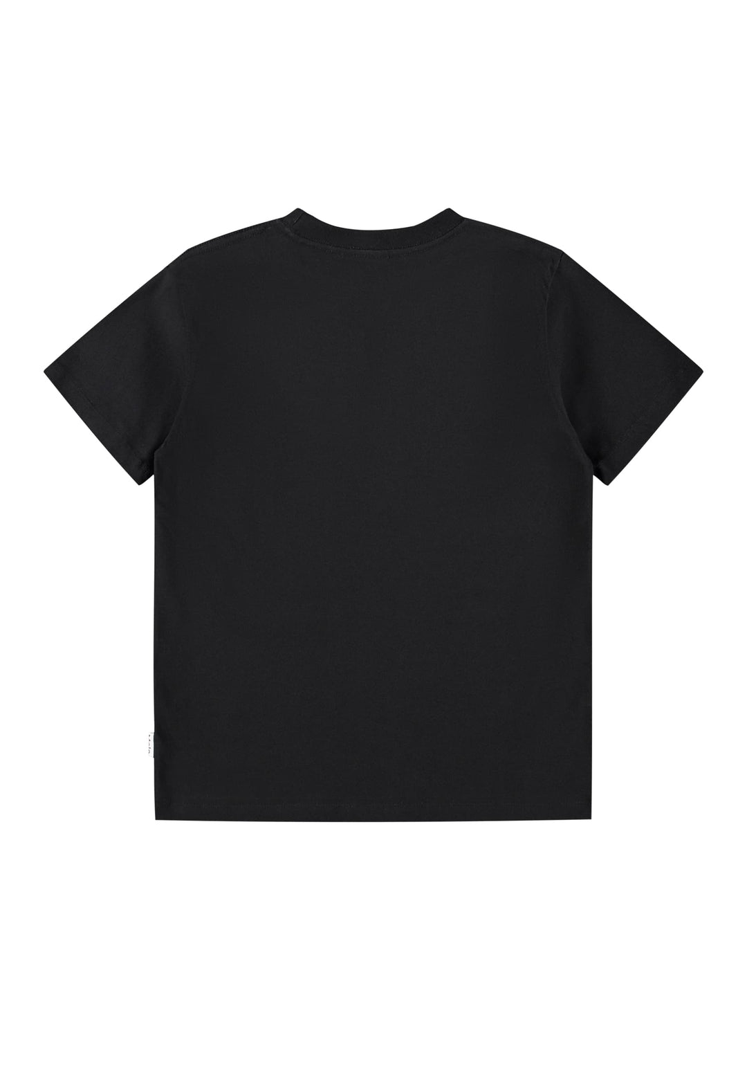 back of a Black t-shirt on a white background