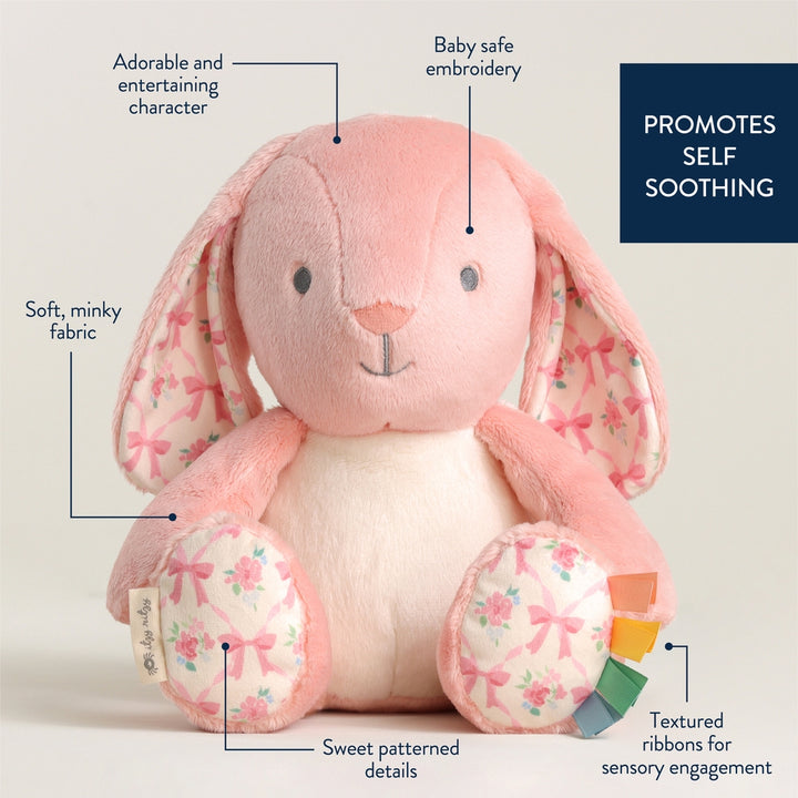 Pink bunny plush toy with features highlighted on a light background