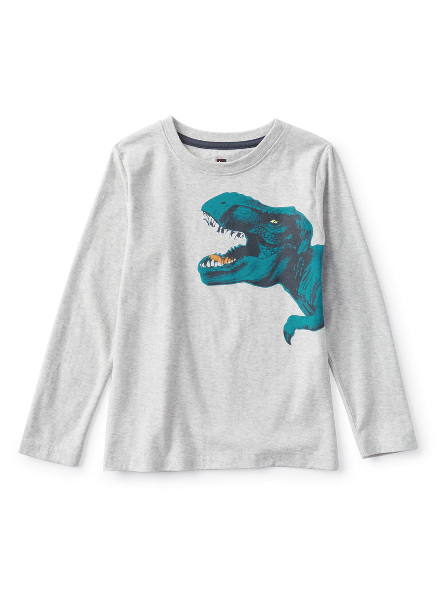 Gray long-sleeve shirt with a blue dinosaur graphic on a white background