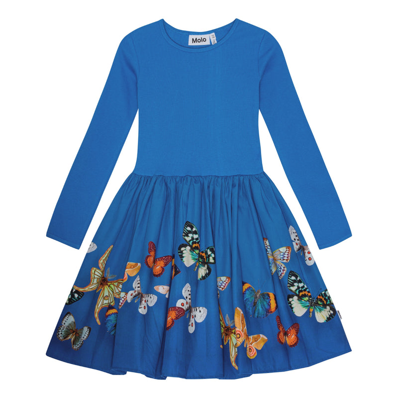 Blue Crew Neck Long Sleeve A-Line Dress. The Skirt has a butterfly print