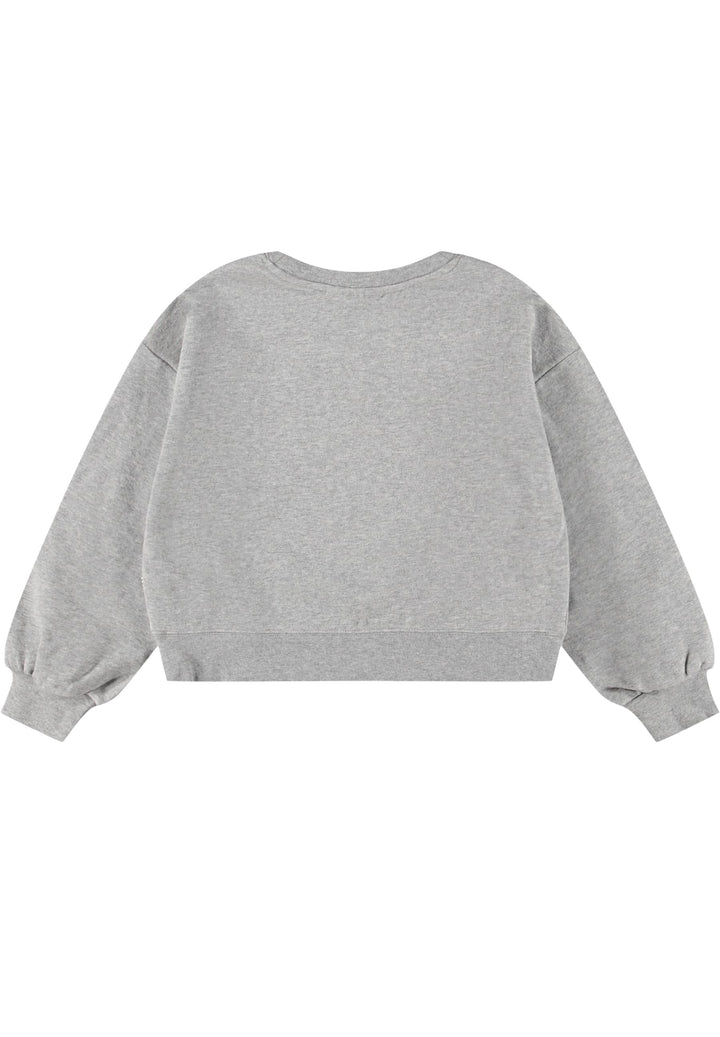 Gray sweatshirt on a white background