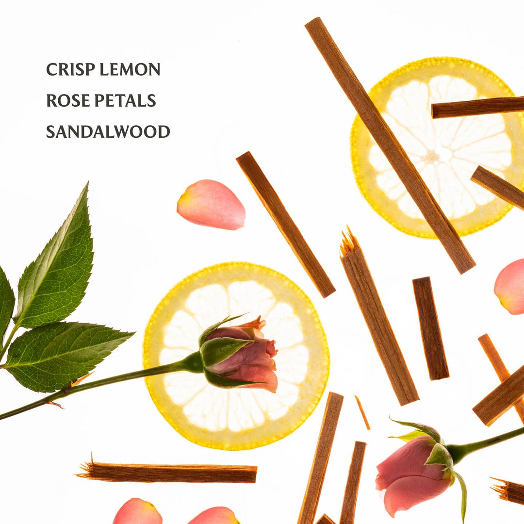 Spices and herbs with lemon slices, rose petals, and sandalwood on a white background