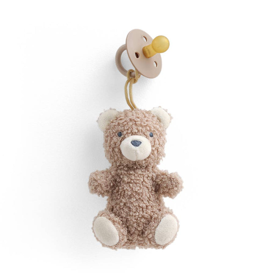 Teddy bear with a pacifier on a white background