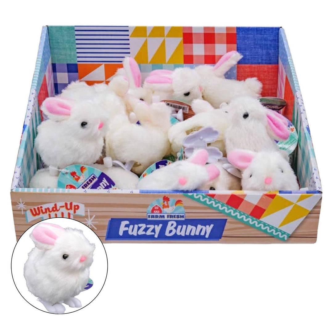 Box of wind-up fuzzy bunnies with a close-up inset on a white background
