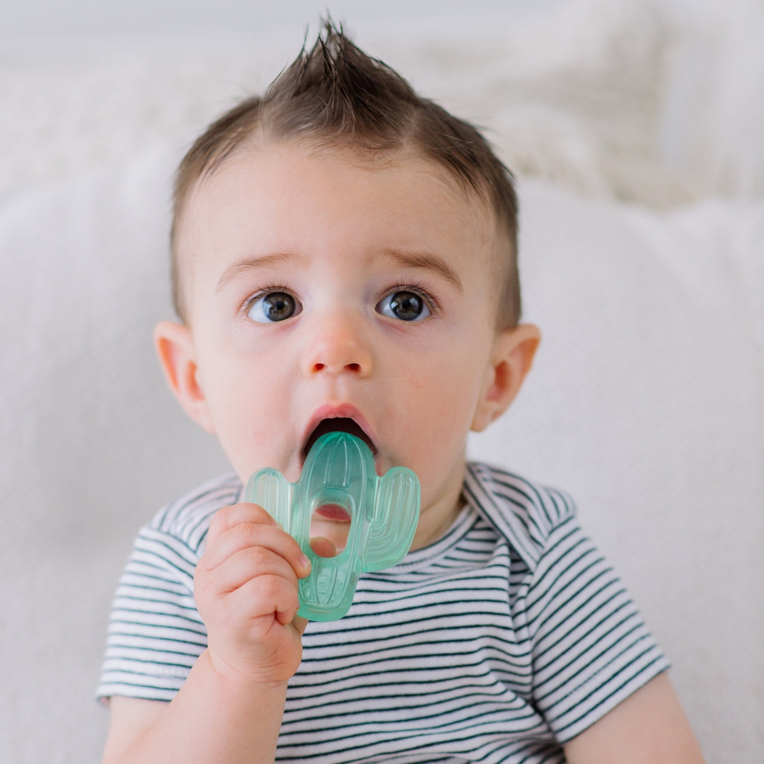 Baby holding a green cactus-shaped teether against a neutral background