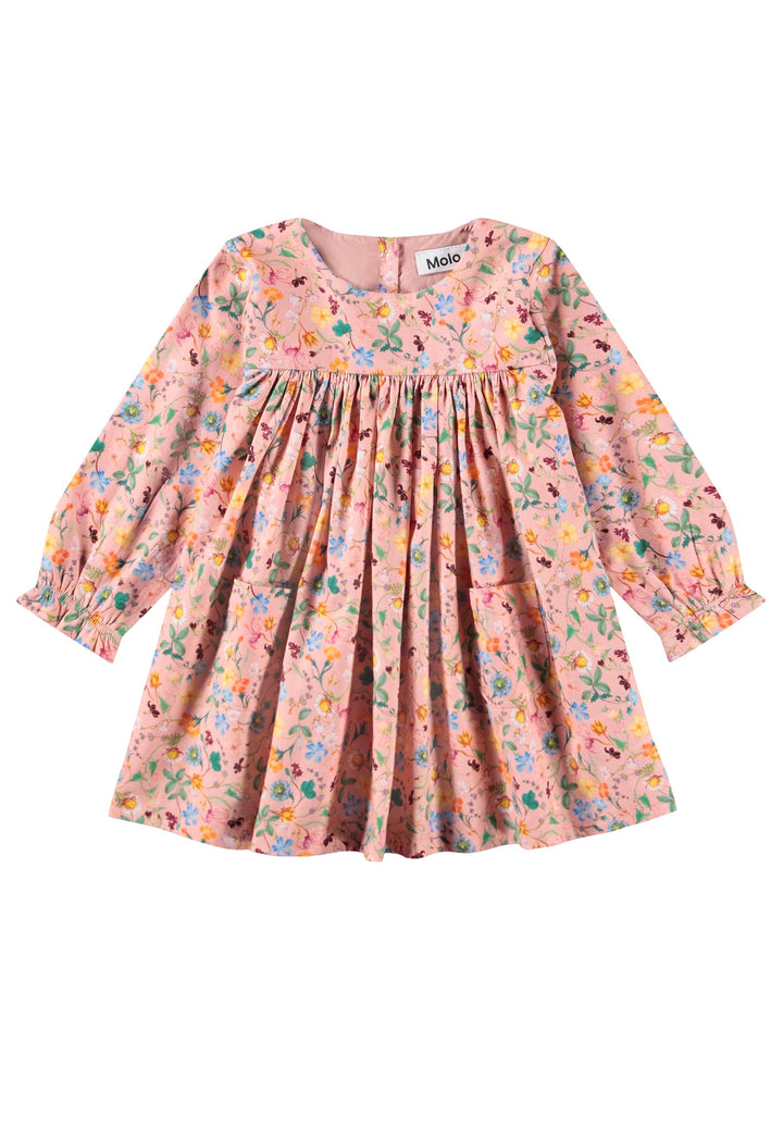 Baby Floral dress with long sleeves on a white background