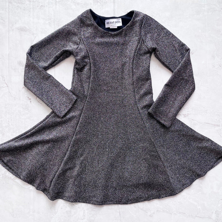 Tween Dresses | Long Sleeve Inspired Flare Dress in Platinum Sparkle | Les Tout Petits