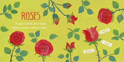Board Book | Emily Dickinson, in Emily's Garden | Little poet Baby Lit