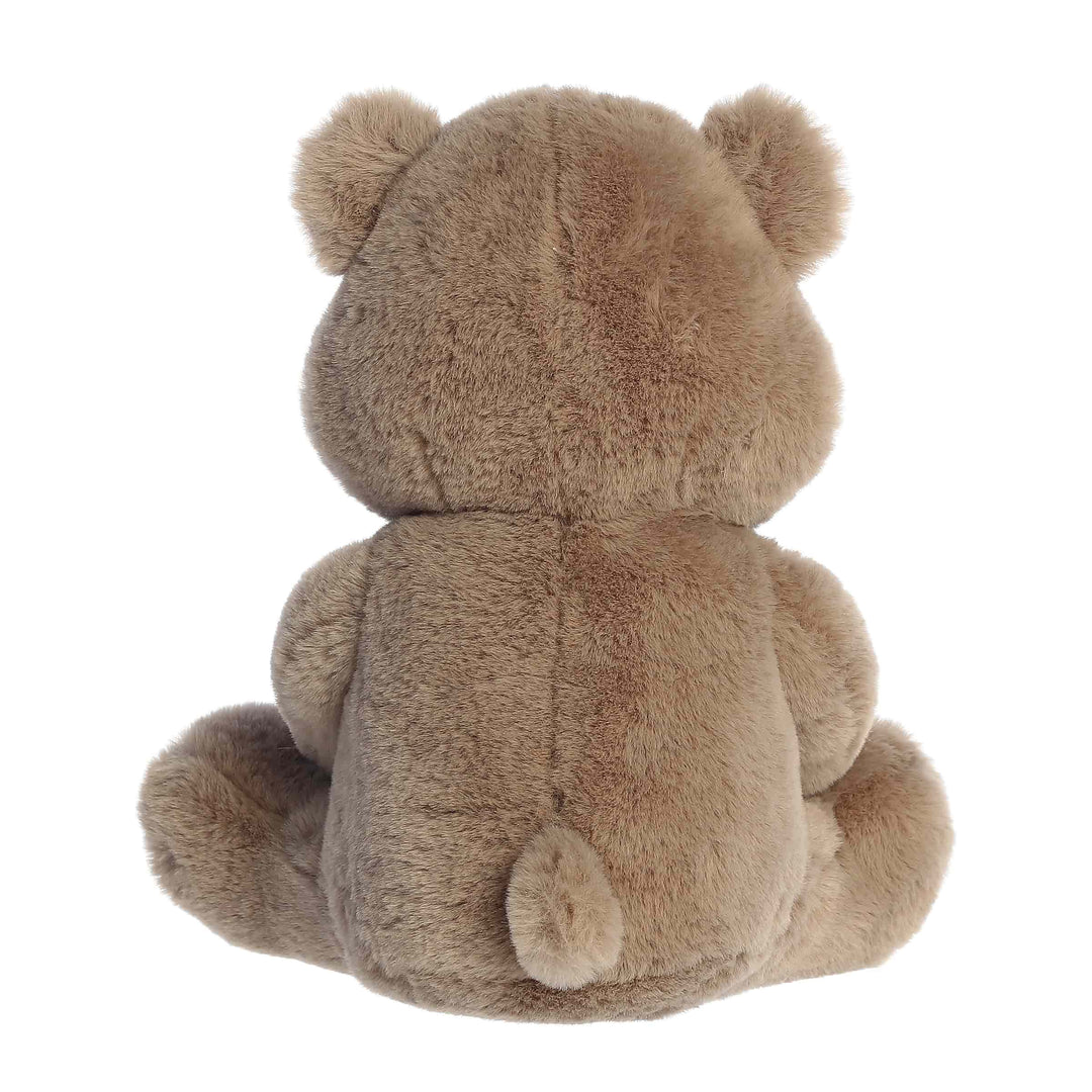 Back view of a brown teddy bear on a white background