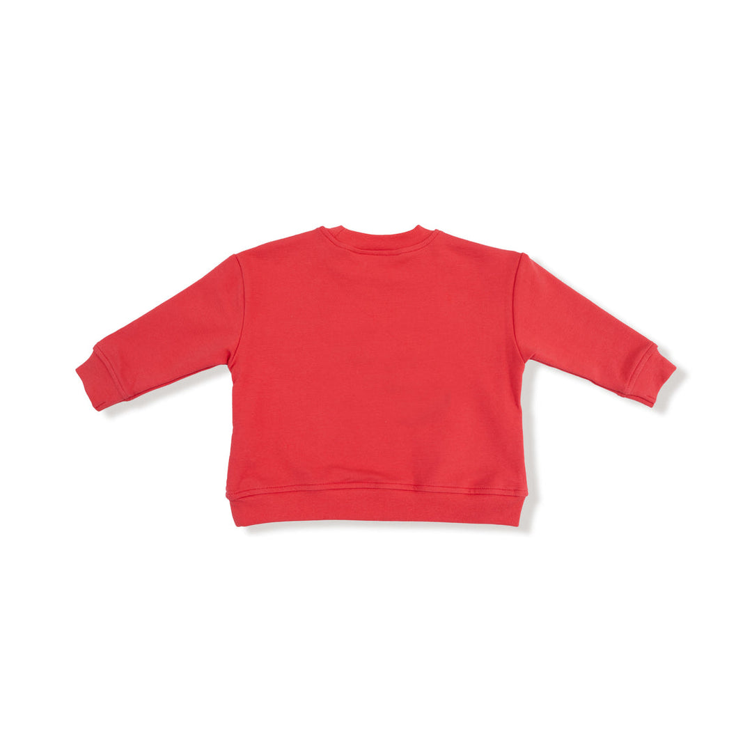 back of Red sweatshirt on a white background