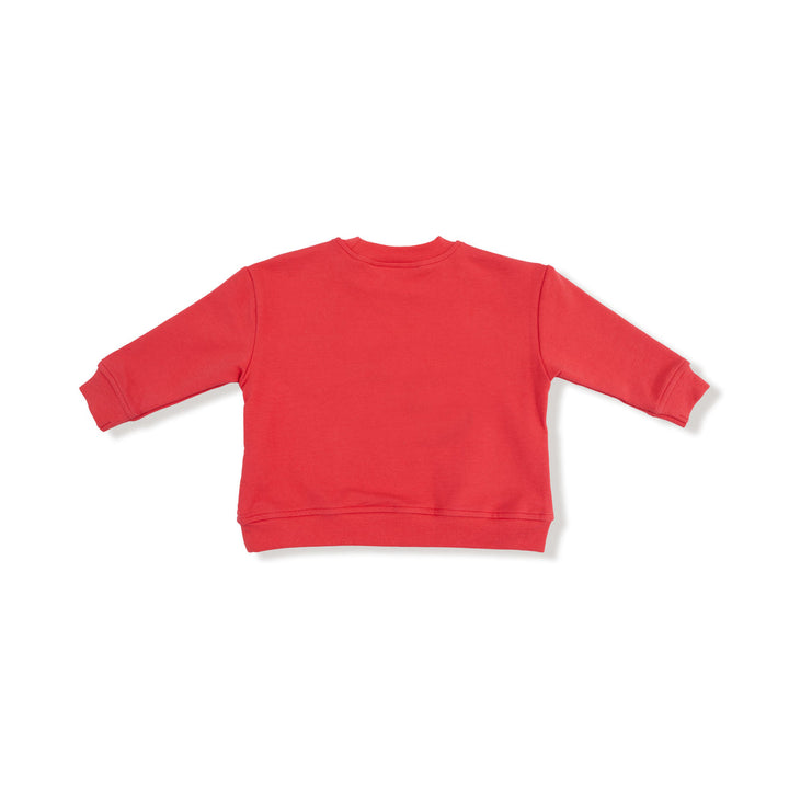 back of Red sweatshirt on a white background