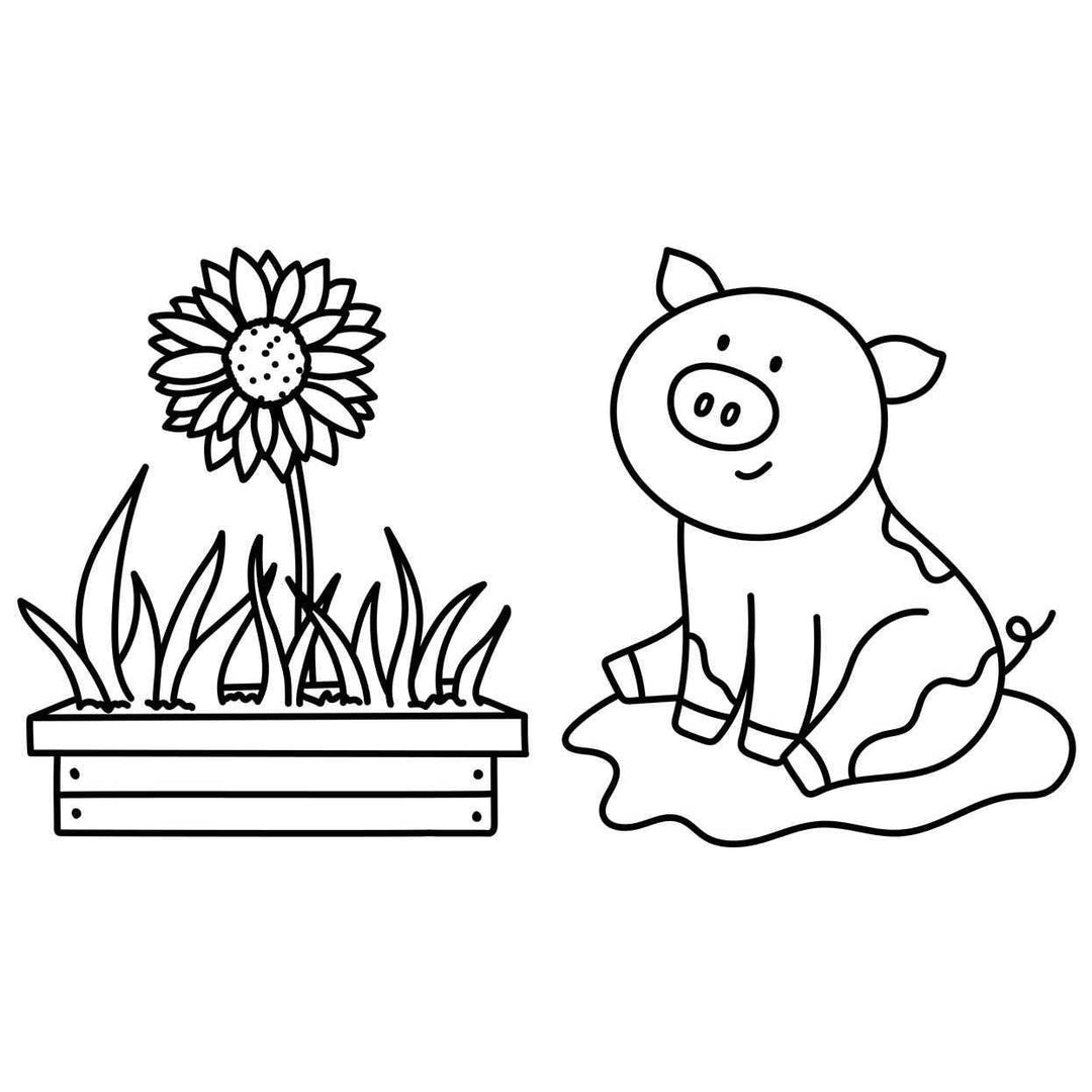 inside pages with an outline of a pig and a flower. large drawings for a child to be able to color in easily. 