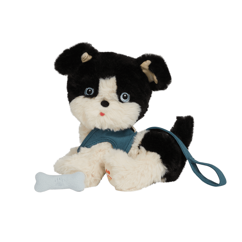 stuffed dog that comes with a leash that is blue and a bone that sticks to his mouth with a magnet. the dog is black and white in color