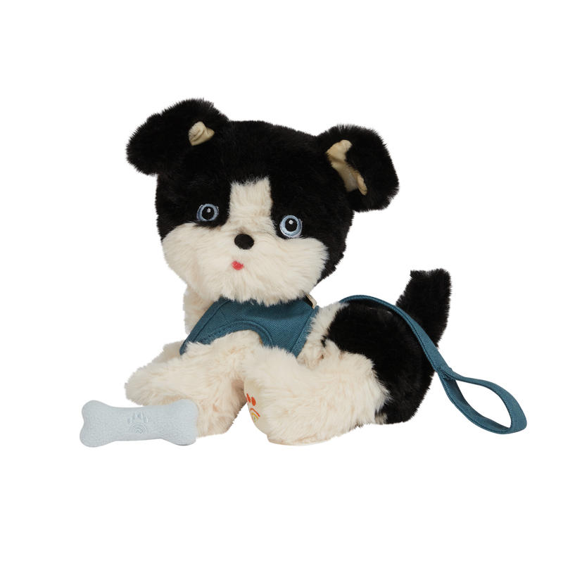 stuffed dog that comes with a leash that is blue and a bone that sticks to his mouth with a magnet. the dog is black and white in color