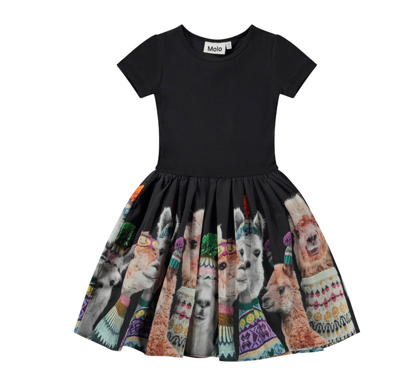 Girls Dress | Organic Cotton Cisa Dress | Molo