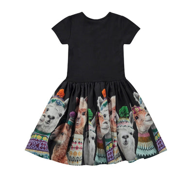 Girls Dress | Organic Cotton Cisa Dress | Molo