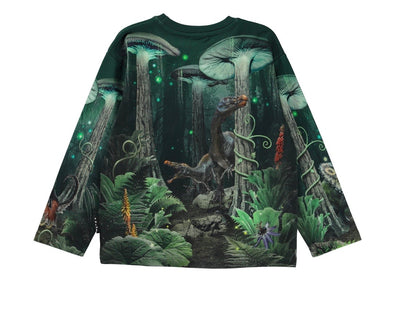 Boys Tops | Sweatshirt- Mountoo Night Forest | Molo