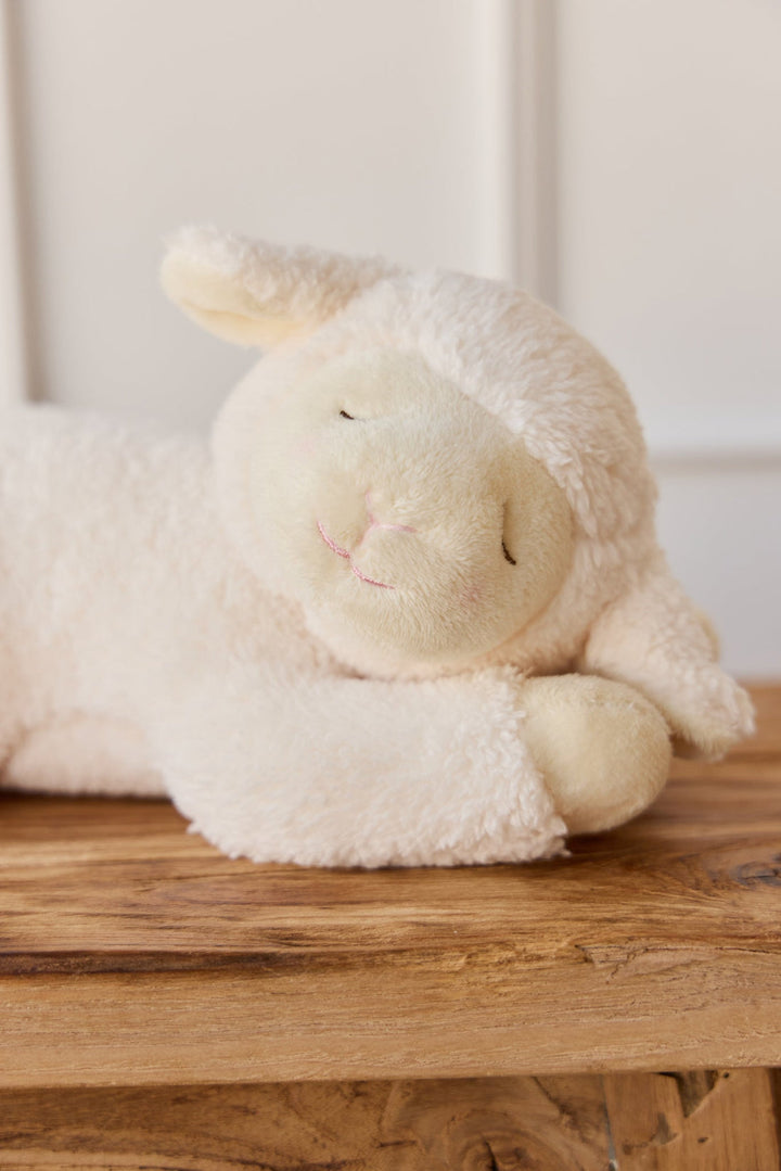Plush lamb toy on a wooden surface with a neutral background