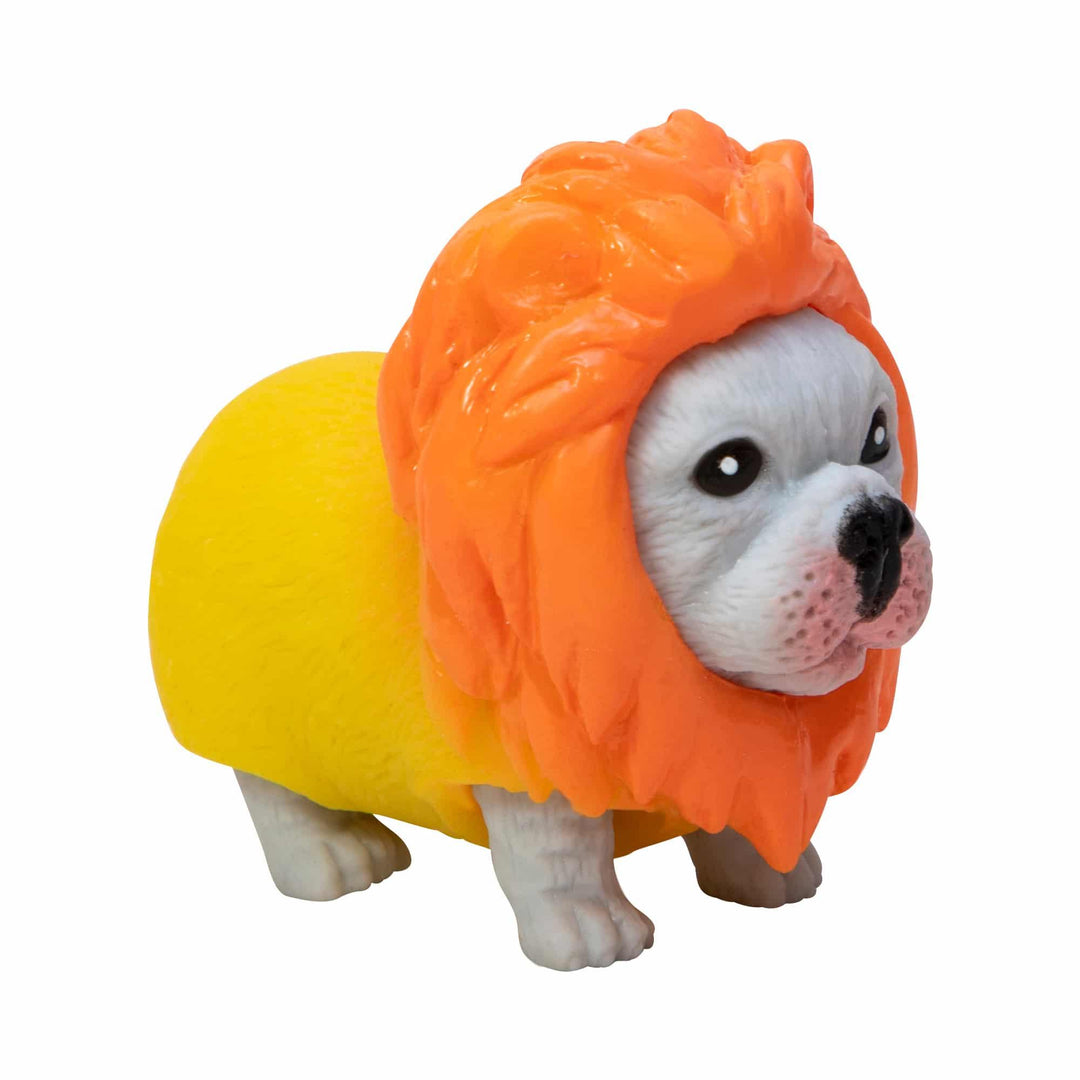 gray french bulldog dressed as a lion
