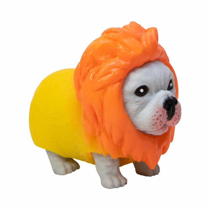 gray french bulldog dressed as a lion