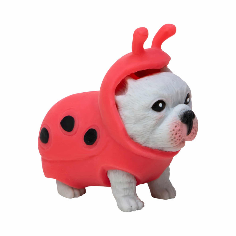 gray french bulldog dressed as  a ladybug