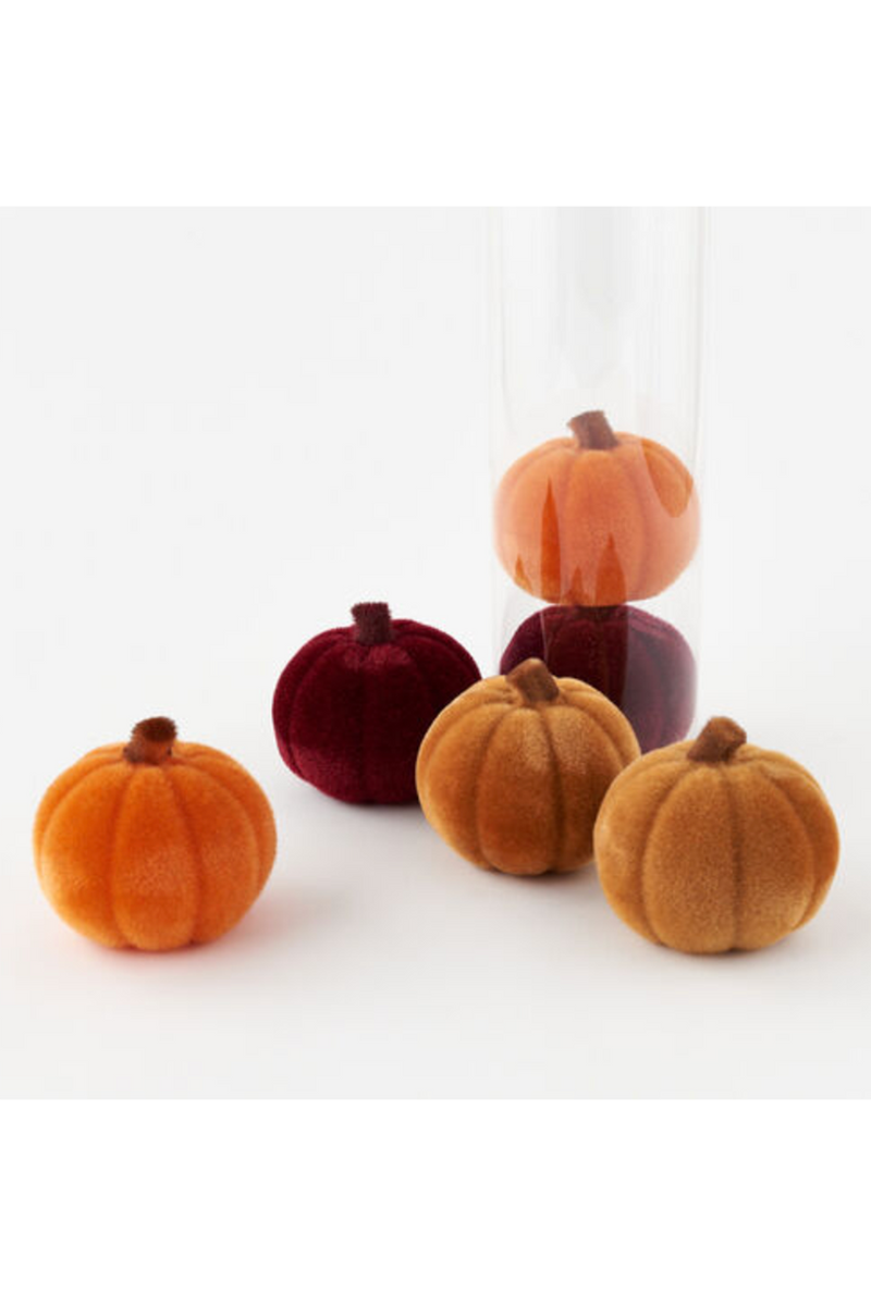 Home Decor | Harvest Flocked Pumpkins | One Hundred Eighty Degrees