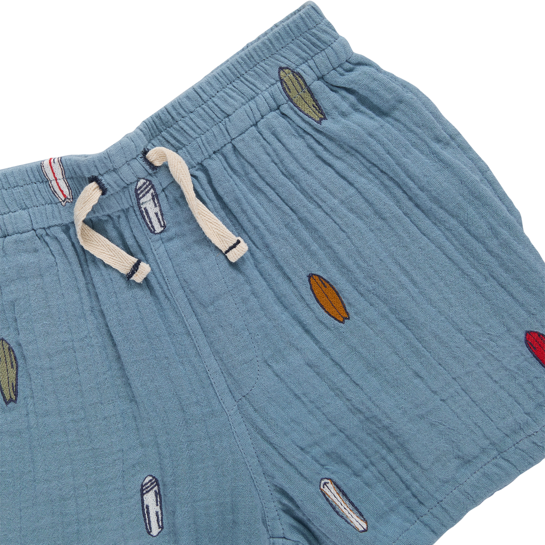 Blue shorts with embroidered designs on a white background