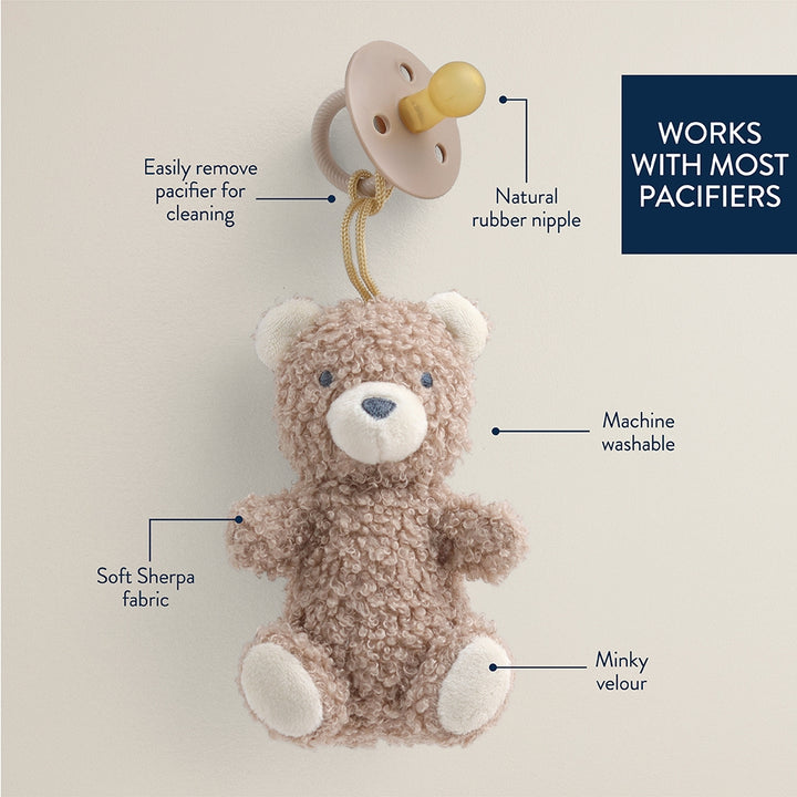 Teddy bear with pacifier attachment and features labeled on a beige background