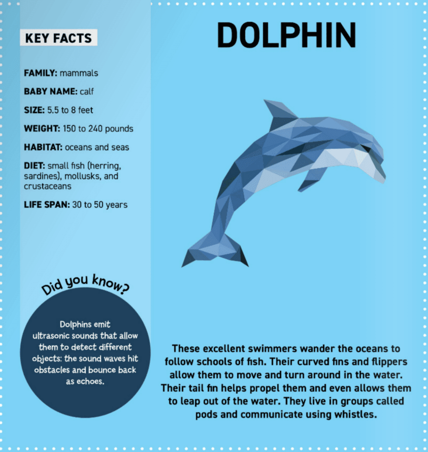 Activity Book | My Sticker Paintings: Ocean Animals | Wellspring - The Ridge Kids