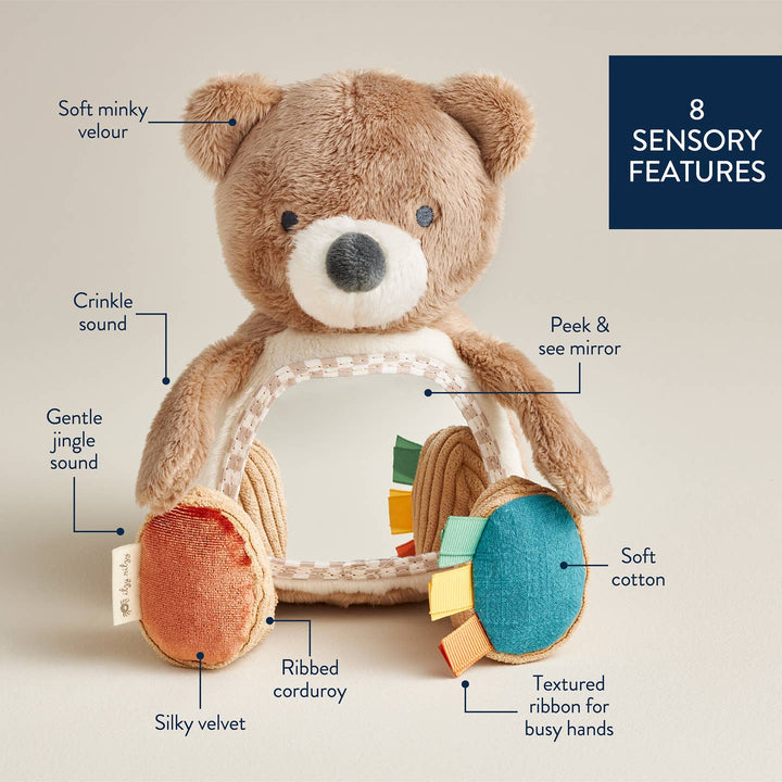 Teddy bear with labeled sensory features on a beige background