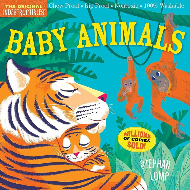 Baby Books | Indestructible Books- assorted | Indestructibles - The Ridge Kids