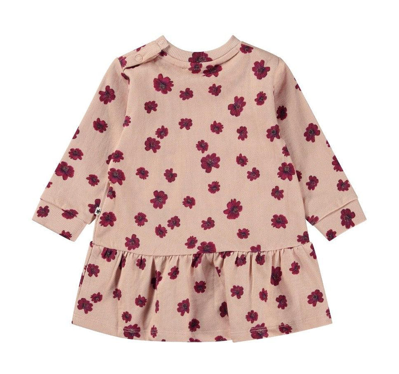 Baby Dresses | Calypso Chocolate Daisy Dress | Molo - The Ridge Kids