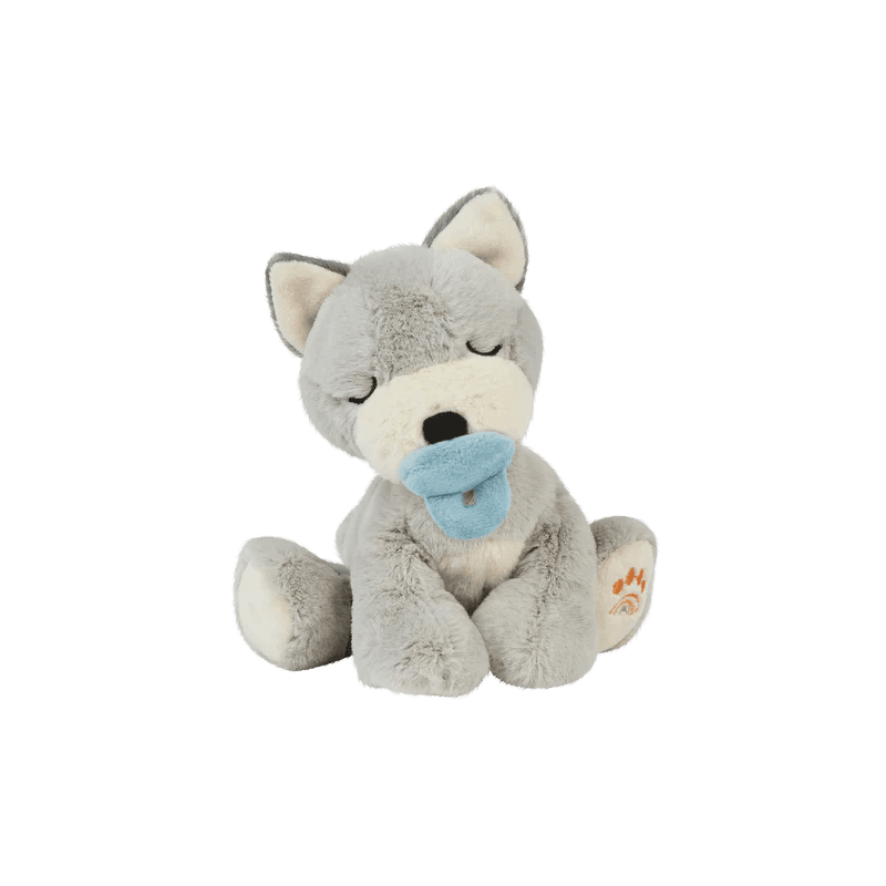 grey puppy dog with pacifier in its mouth and sleepy eyes. 