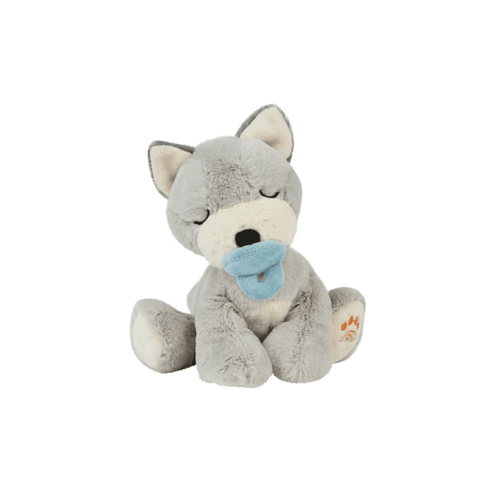 grey puppy dog with pacifier in its mouth and sleepy eyes. 