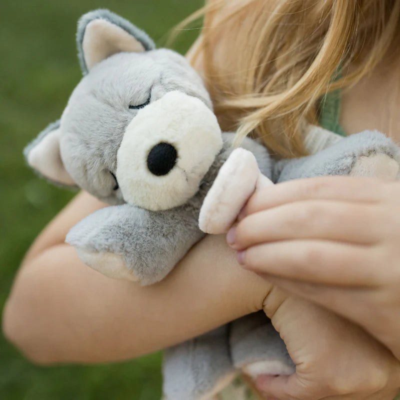 gray binky puppy is being cuddled by a child