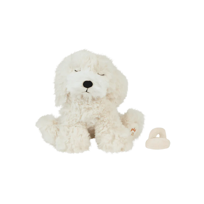 baby puppy in cream color with pacifier