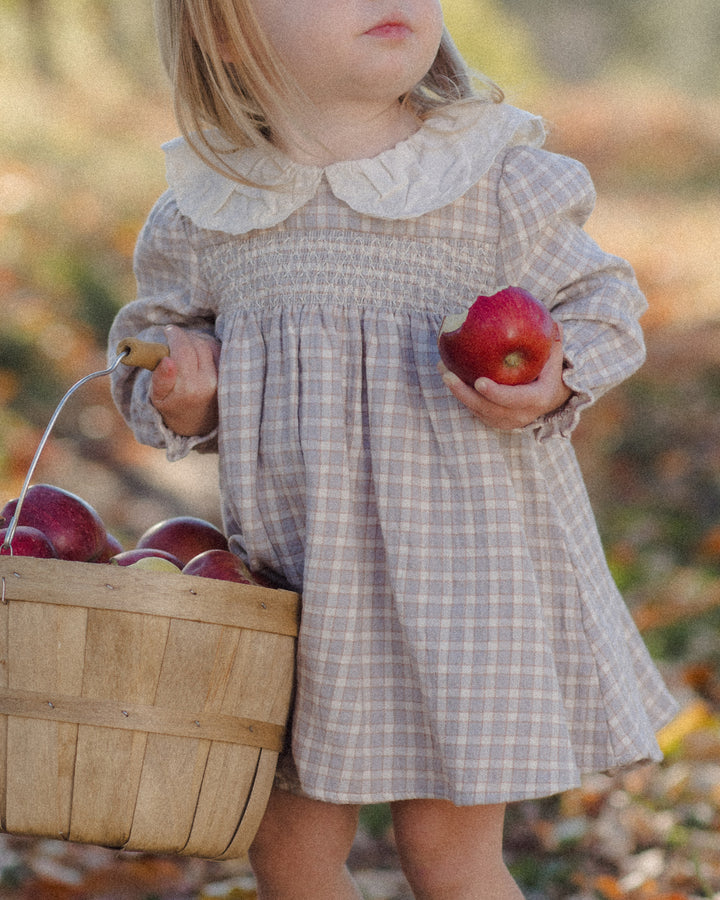 A toddler girl wearing a beige and gray plaid smocked dress with a cream ruffled collar, holding a wooden basket of red apples outdoors on a leaf-covered ground.