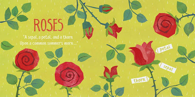 Board Book | Emily Dickinson, in Emily's Garden | Little poet Baby Lit - The Ridge Kids