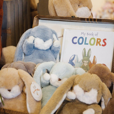 Board Book | My Book of Colors | Bunnies by the Bay - The Ridge Kids