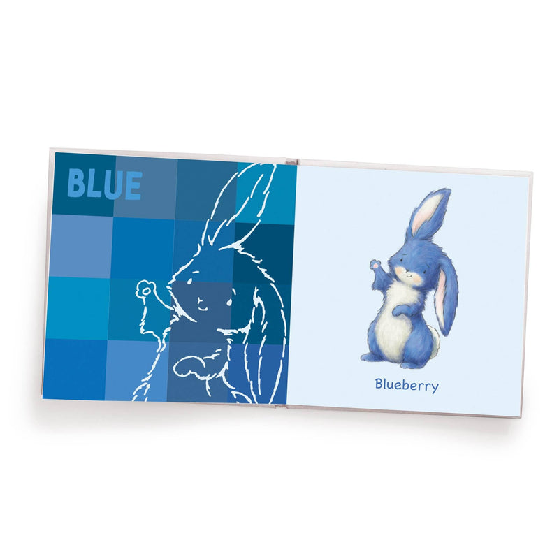 Board Book | My Book of Colors | Bunnies by the Bay - The Ridge Kids