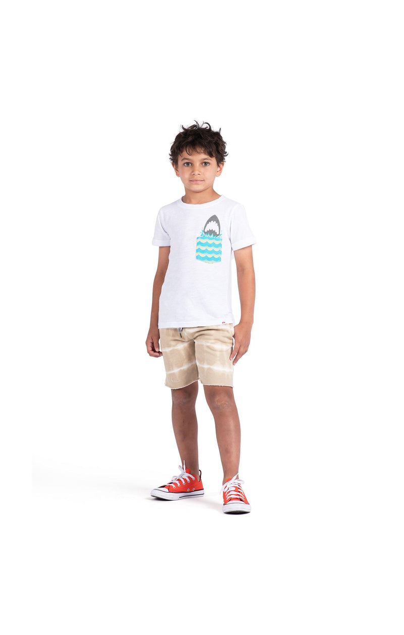 Boys Tops | Day Trip Tee | Appaman - The Ridge Kids