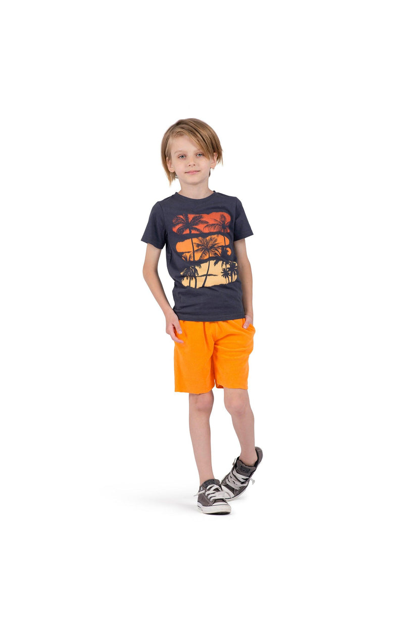 Boys Tops | Palms Graphic Short Sleeve Tee | Appaman - The Ridge Kids