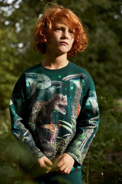 Boys Tops | Sweatshirt- Mountoo Night Forest | Molo - The Ridge Kids