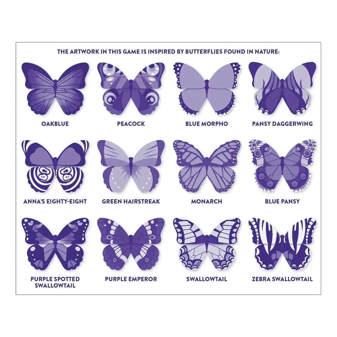 Illustrations of various butterflies with labels on a white background