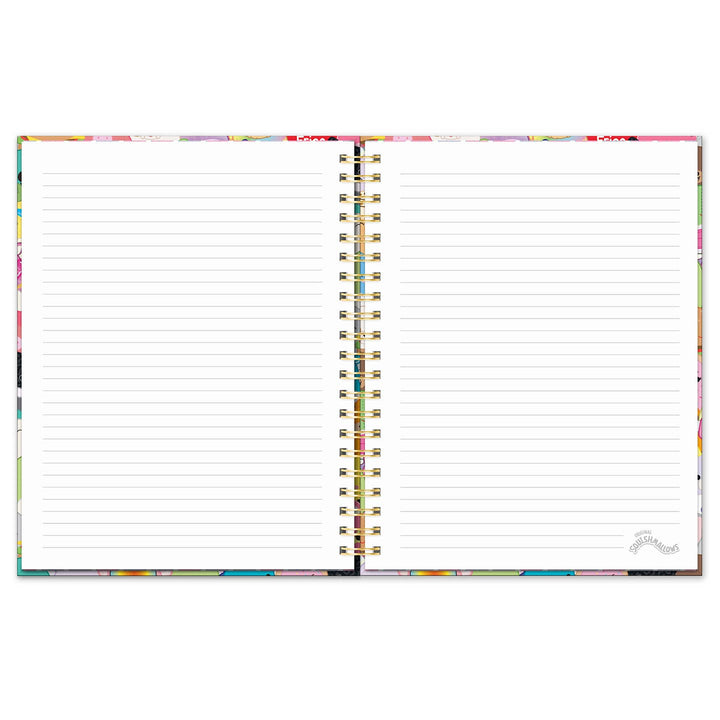 Open notebook with lined pages and colorful border on a white background