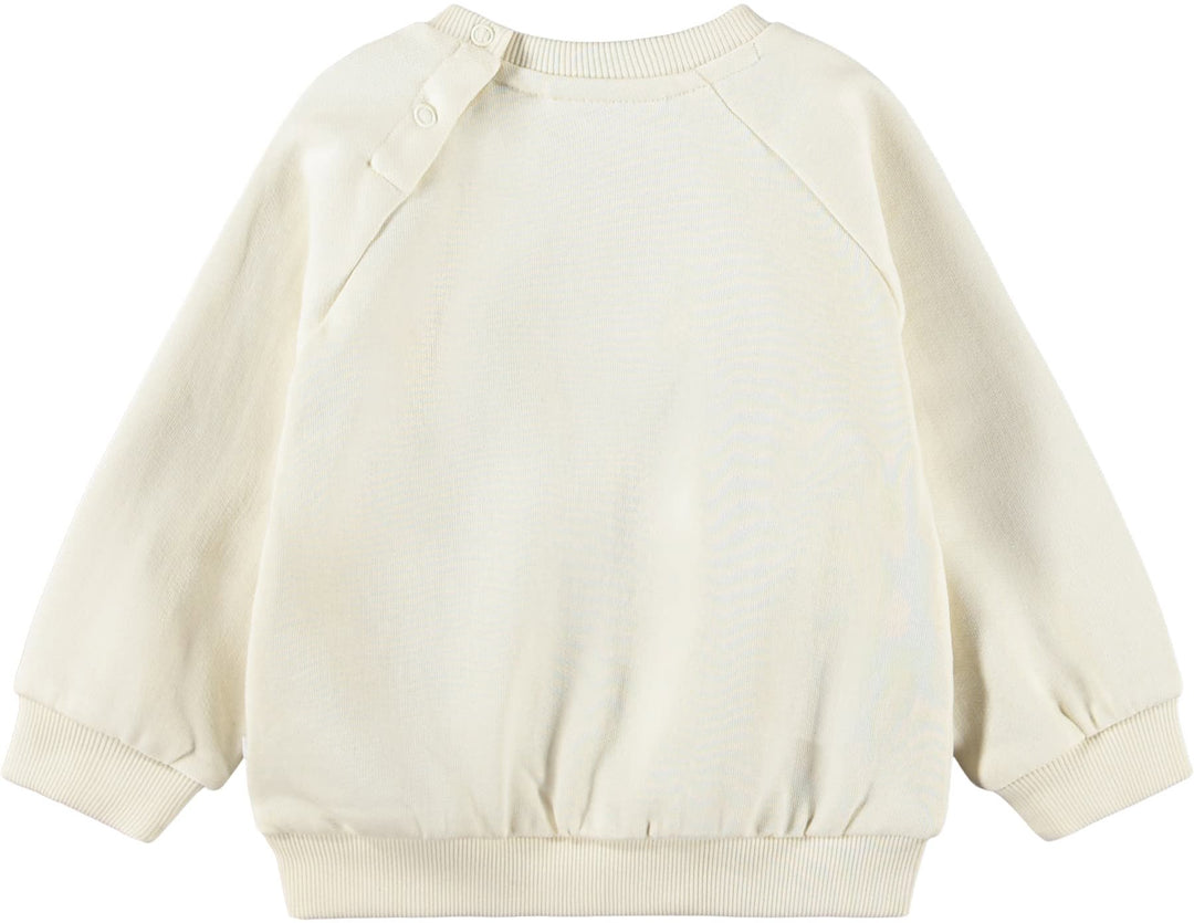 Back of An off-white long-sleeve crewneck sweatshirt shown from the back, featuring raglan sleeves and ribbed cuffs and hem, on a solid white background.